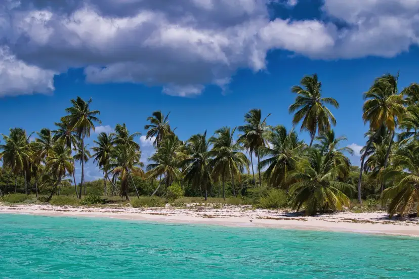 Playas, Antigua and Barbuda