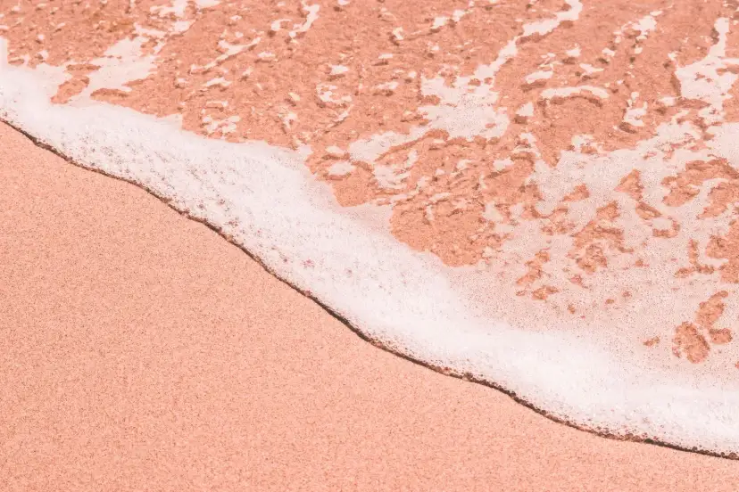 Playas rosadas, Bermudy