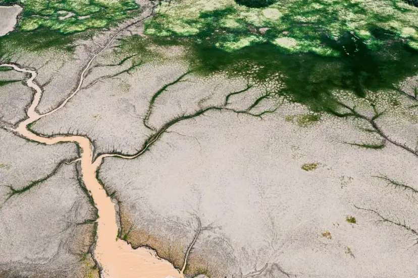 Delta del Okavango, Botswana