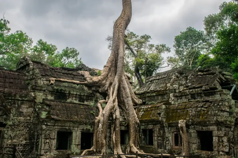 Ta Prohm, Cambodia