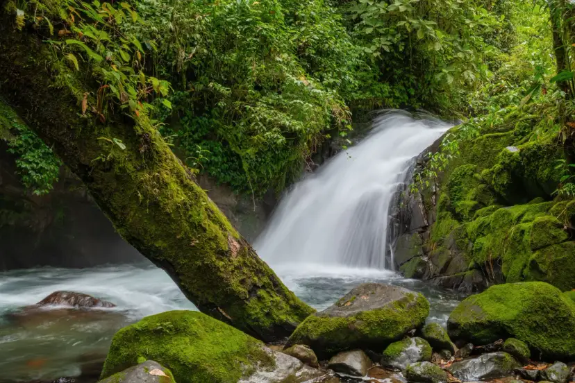 Monteverde, Kostaryka