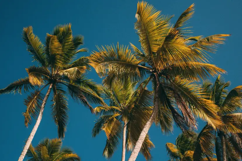 Samaná, ドミニカ共和国
