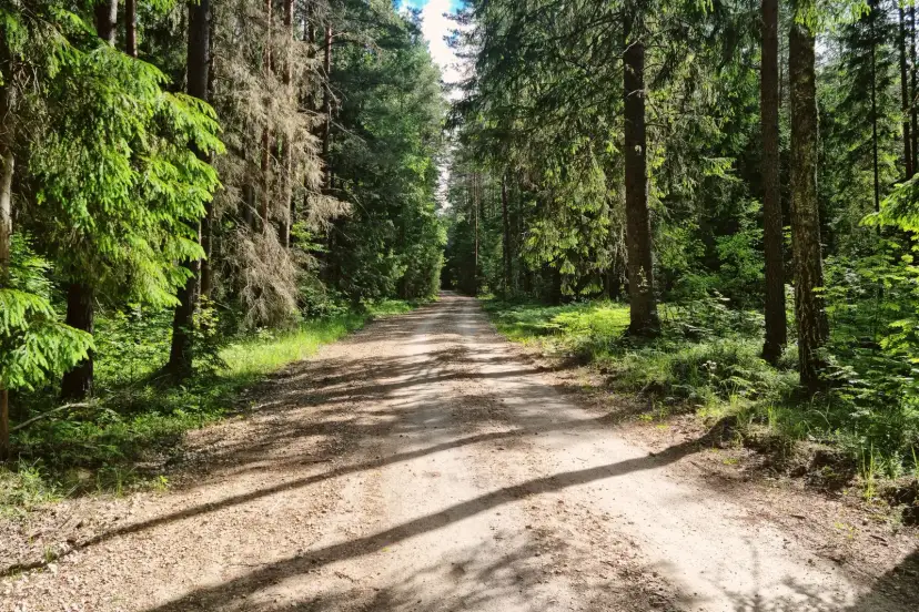 Bosques, エストニア
