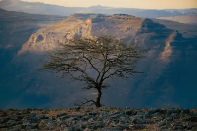 Ethiopia