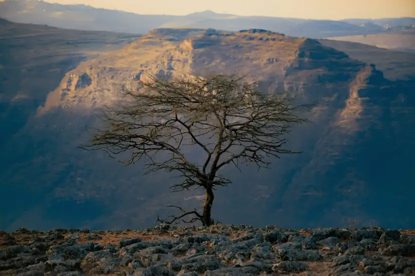 Paisajes, Ethiopia