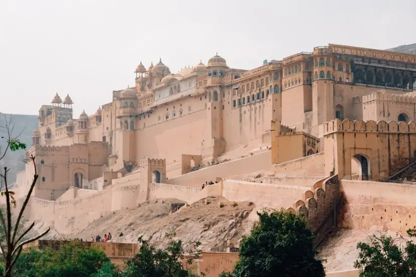 Fuerte Amber, India