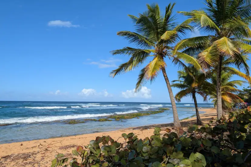 Playas, Martinique