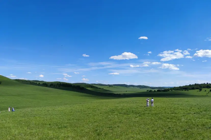 Estepa, Mongolia