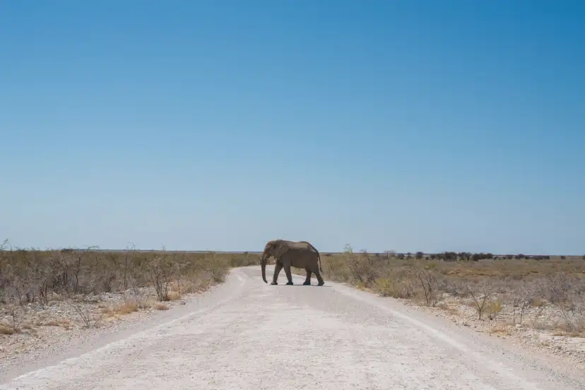 Namibia, Namibia
