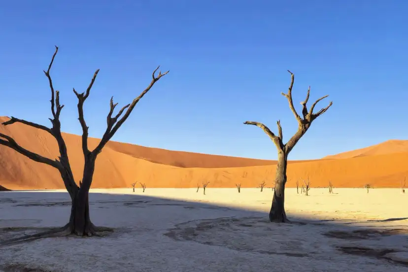 Deadvlei, Namibia