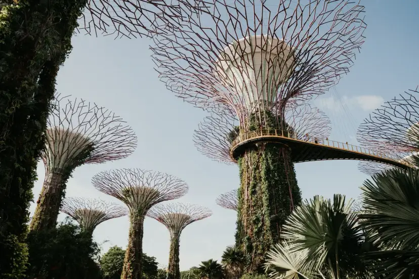 Gardens by the Bay, Singapur