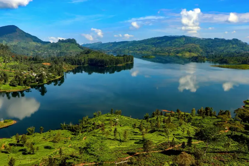 Plantaciones de té, Sri Lanka
