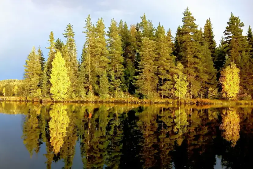 Lagos suecos, Sweden