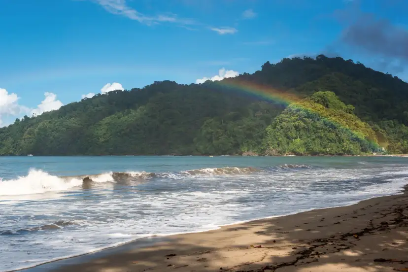 Selva, Trinidad e Tobago