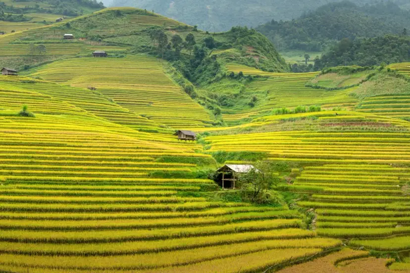 Sapa, Vietnam